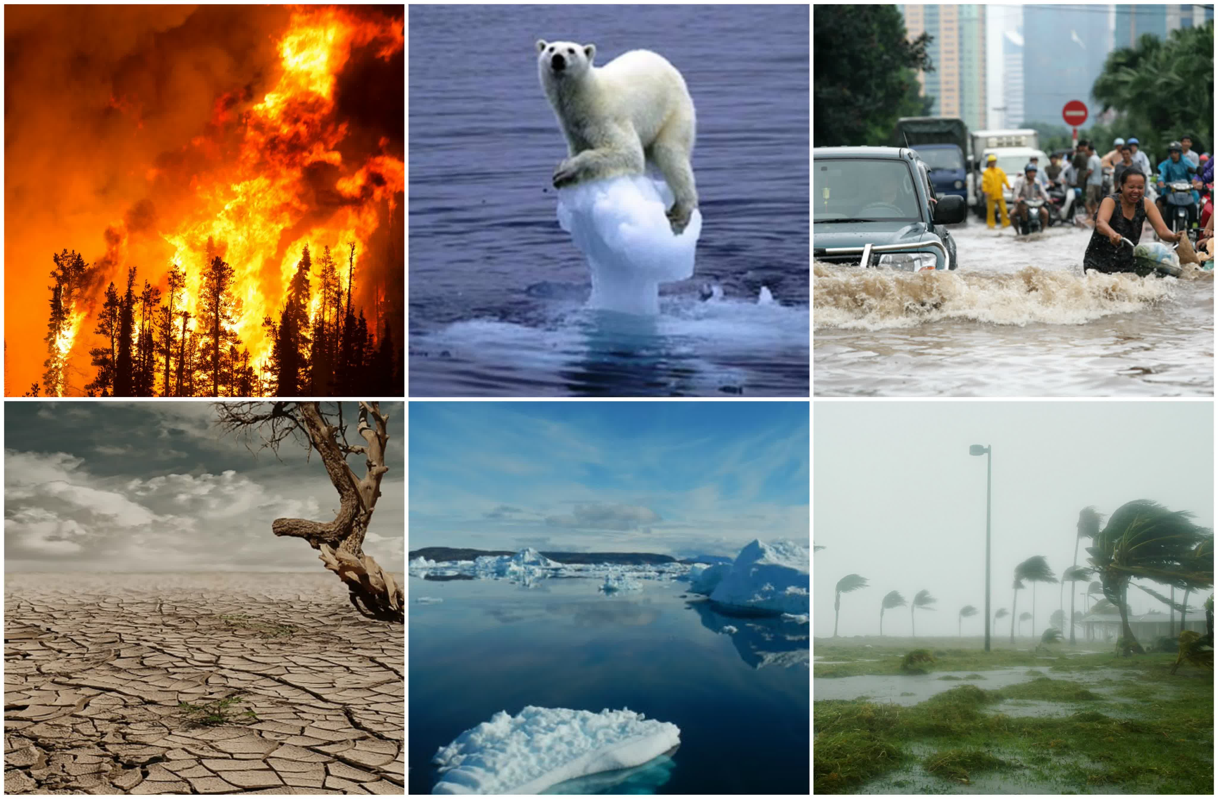 Глобальная экологическая проблема изменения климата является