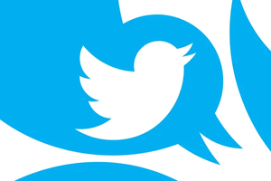 Twitter* не даст «галочку» новым аккаунтам